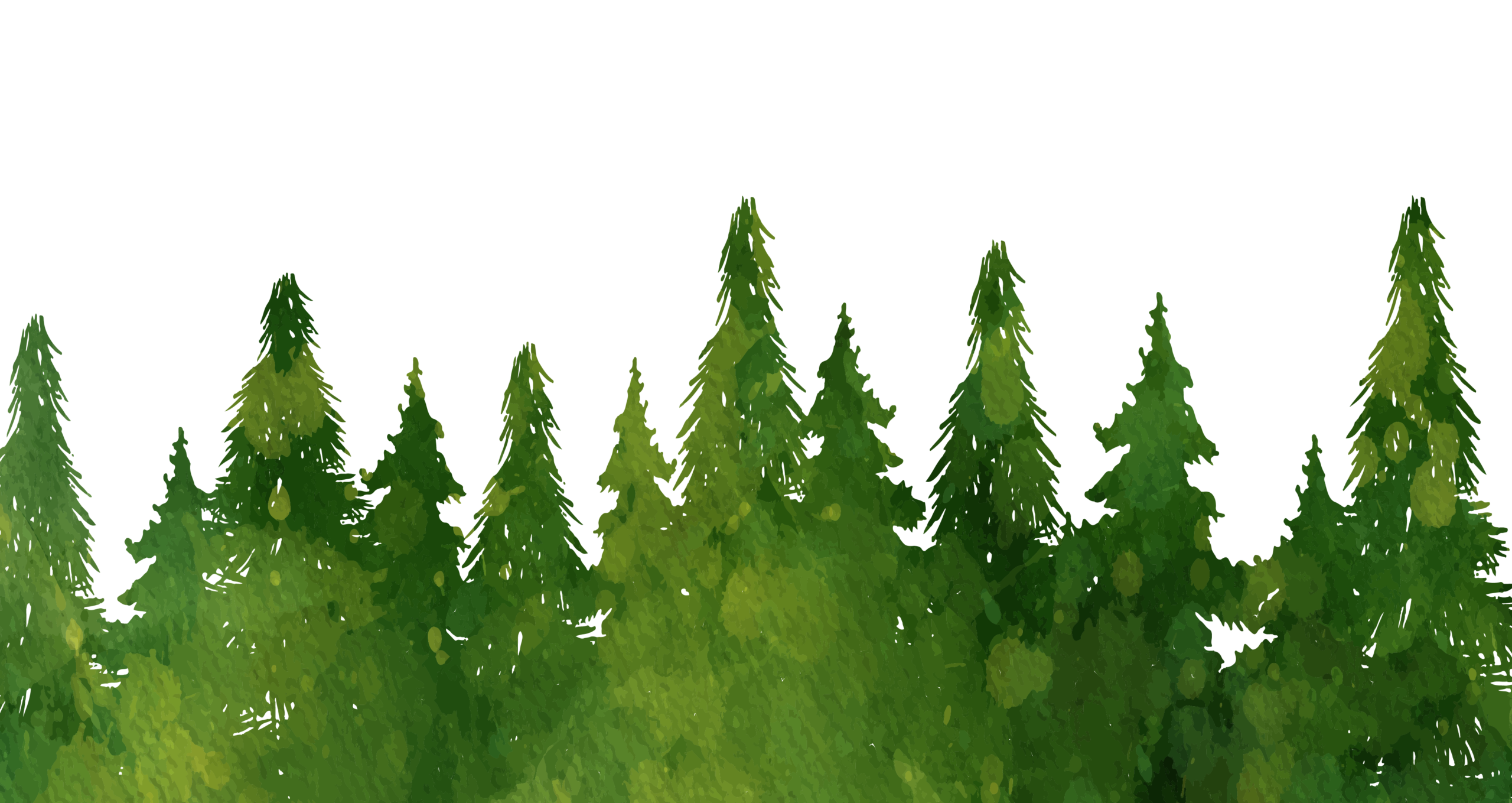 Pacific Spruce Federal Credit Union